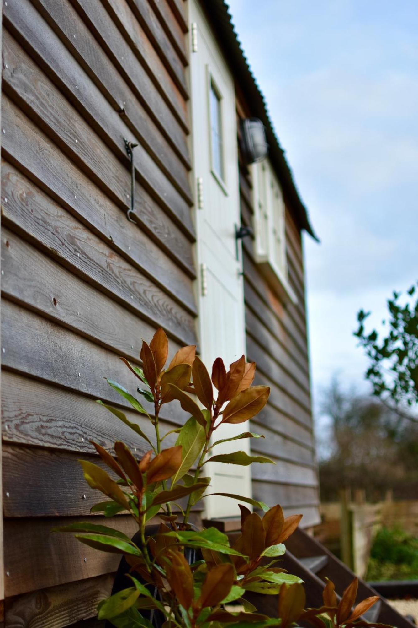 The Deer Hut Apartment Burpham Екстериор снимка